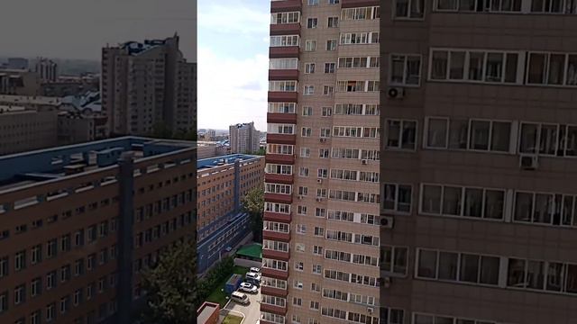 Поездка в Новосибирск. Вид из окна.