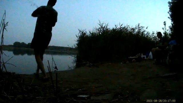 Поклевка толстолоба 1:15 на левую смотреть онлайн