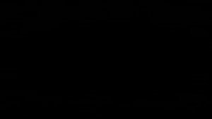 ТАЙНАЯ ЖИЗНЬ ДОМАШНИХ ЖИВОТНЫХ 3