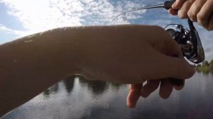 Ловля на спиннинг в Коломенском районе сентябрь 2021 Cablista 90 sp smr pontoon 21 cablista 105 sm