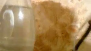 Капельный полив для комнатных растений