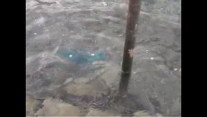 Египет отель Dreams Beach Resort 5* глазами туриста