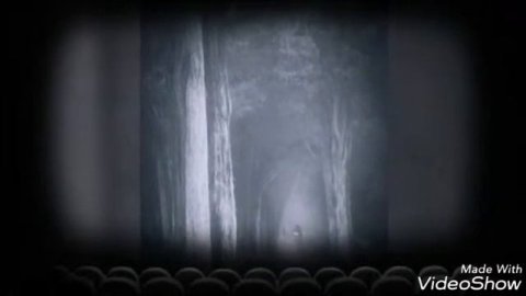 Кто такие вампиры