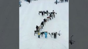 Народы севера -ZV