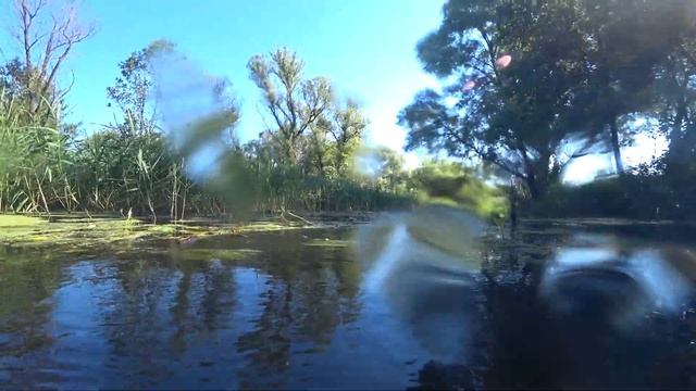 Подводная охота! Начало!) смотреть онлайн