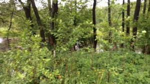 Деревня Пласкинино/ вышло из берегов озеро и стекает в речку/после вчерашнего дождя