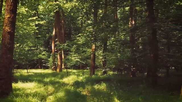 "Сказка на ночь" русская Сказка о Морозко и Ёлочке смотреть онлайн