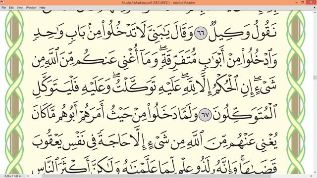Шейх Айман Сувейд сура Юсуф стр 243 смотреть онлайн