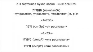 Урок № 124.  Обычные глаголы настоящего и прошедшего времени биньяна פיעל (пиЭл)