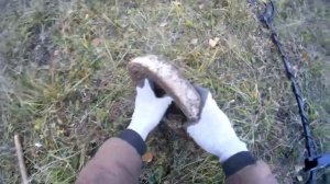 Осенний Коп Металла на просторах полей Урала.