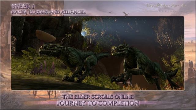 Elder Scrolls Online Gameplay Podcast #1 - Races, Classes & Skills Explained смотреть онлайн
