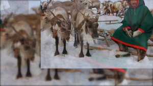 Родной мой край! Стихи Светланы Хохловой,  г.Тюмень. Музыка и исполнение Стаса Пенявского, город Сур