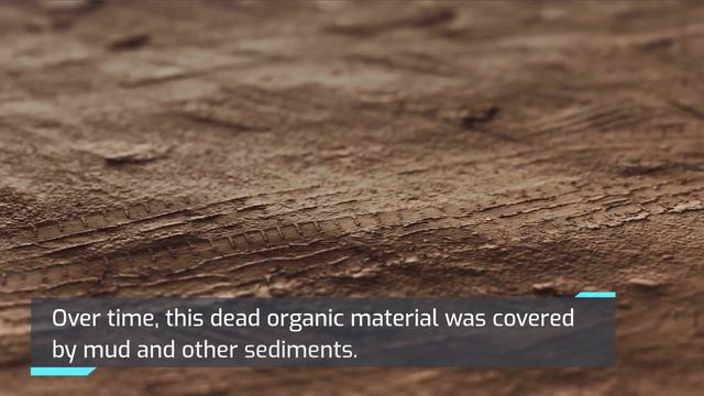 What are Fossil Fuels? How are they Formed? | Oil, Coal & Natural Gas смотреть онлайн