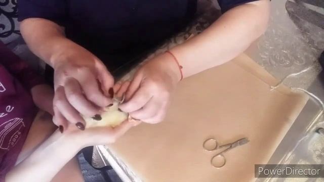 Как Выровнять Цыплёнку Лапу?!/Кривая Лапка у Цыпленка/Что Делать Если у Цыплёнка Разъезжаются Лапки