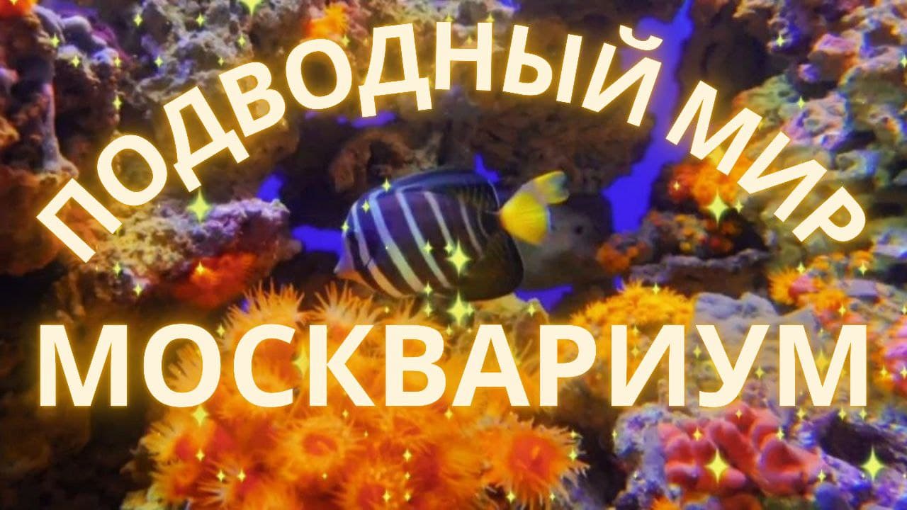 Москвариум на ВДНХ. Подводный Мир. К ПОГРУЖЕНИЮ ГОТОВЫ? #вднх