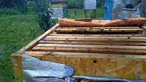 Замена матки в улье. ч.3#пчеловодство #подпишись#пасека#дача