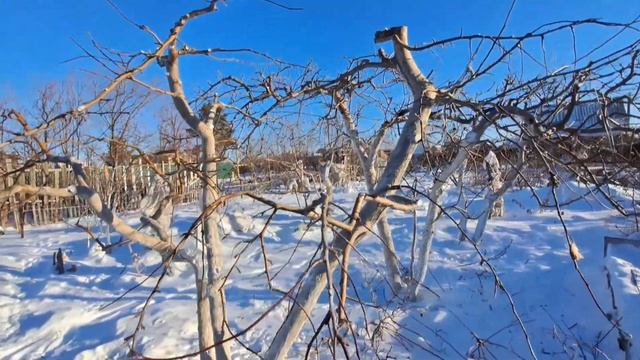 Предновогодняя дача.25.12.22.Сев.Каз..Ч.522. смотреть онлайн