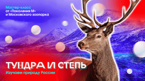 Мастер-класс «Тундра и Степь» от «Поколения М» и Московского зоопарка