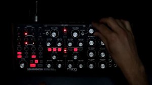 Moog Subharmonicon - Floating dots