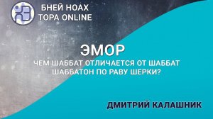 Чем Шаббат отличается от Шаббат Шаббатон по раву Шерки? Недельная глава Эмор