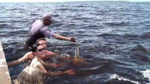 Плавание с дельфинами. Амазонский розовый дельфин. Амазонка, Бразилия. Swimming with the dolphins