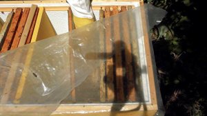 УЛЕЙ ЛЕЖАК заселил тремя отводками и что же я увидел