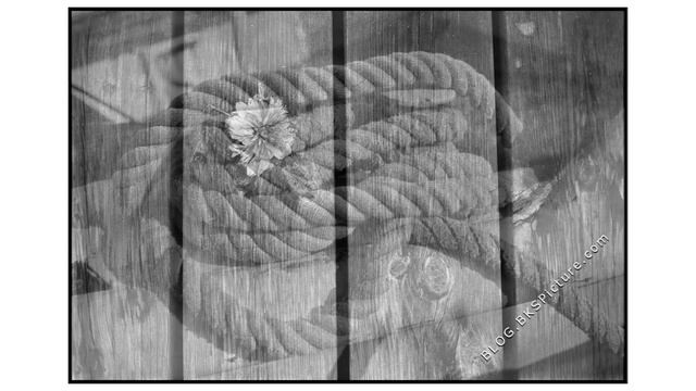 Yashica Electro 35 GSN - Sample Images смотреть онлайн