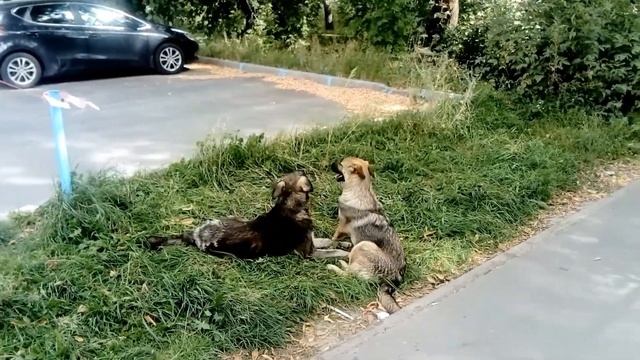 Казань. Достопримечательности Казани. Экскурсия по Казани. Казань видео. Казань 4К. Казань с высоты