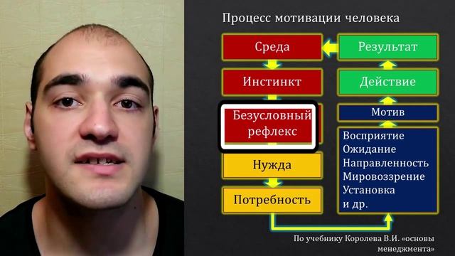 Основы менеджмента. Понятие и процесс мотивации сотрудника.