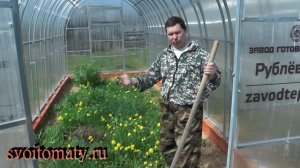 Что обязательно нужно сделать в новой теплице  перед высадкой культур