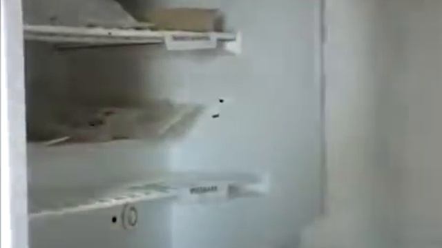 Урок №37 ИО Свиней Дания УКР смотреть онлайн