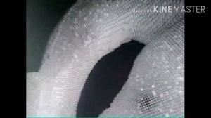 Киа оптима эндоскопия катализатора. 2.0 литра 2014 год пробег более 200 000 км