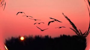 ВАЛЕРИЙ СЕМИН   ОСЕНЬ ЗОЛОТАЯ