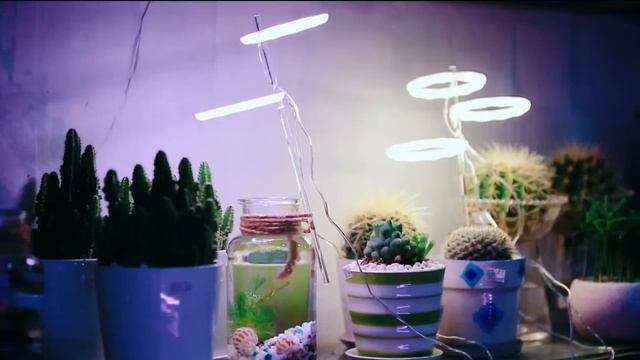Led Grow Light Full Spectrum Lamp USB Phytolamps for Plants Indoor Plant Led Light