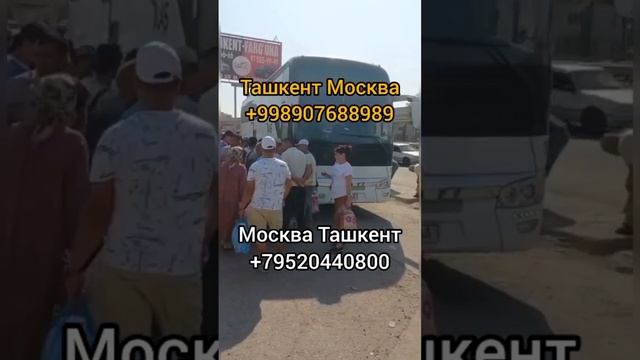 Ташкент Москва Питер автобус 2022 Узбекистан Казахстан Россия автобус #ТашкентМоскваавтобус