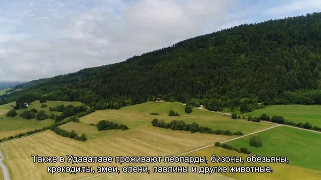 4 национальных парка Шри-Ланки – куда отправиться на сафари