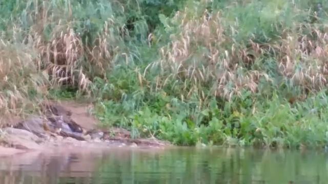 Одиночный сплав по Угре сентябрь 2018 года. смотреть онлайн