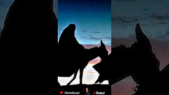 நம்ப முடியாத கிறிஸ்மஸ் கதைகள் | மரியா கழுதையில் பயணித்தாரா ? #ChristmasTruths #christmasstories смотреть онлайн