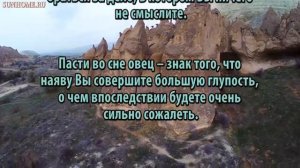 К чему снится Овца сонник, толкование сна