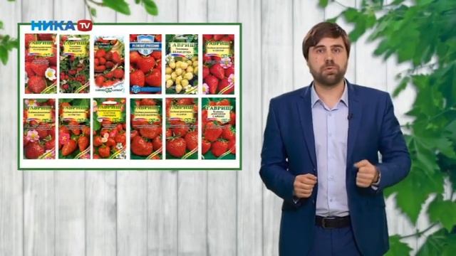 Немного о клубнике ( землянике садовой) смотреть онлайн