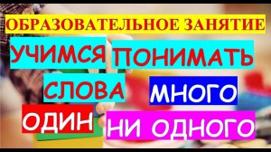 Образовательное занятие Тема Учимся понимать слова Много один ни одного