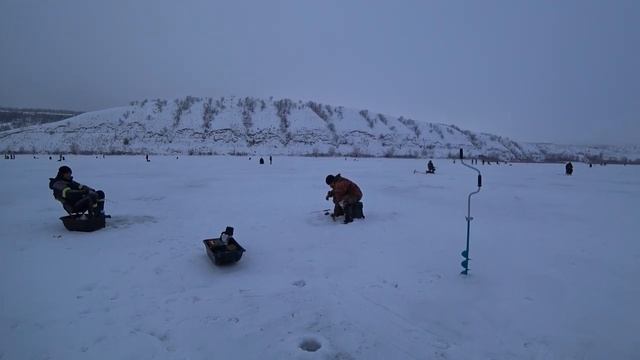 ТОЛЬКО ПОЙМАЛИ и ТОЛПА БЕЖИТ к нам! РЫБАЛКА НА ДОНУ! Зимняя рыбалка! Ловля судака! смотреть онлайн
