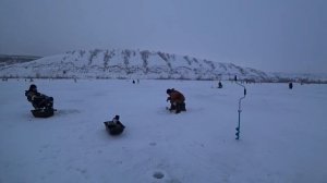 ТОЛЬКО ПОЙМАЛИ и ТОЛПА БЕЖИТ к нам! РЫБАЛКА НА ДОНУ! Зимняя рыбалка! Ловля судака!