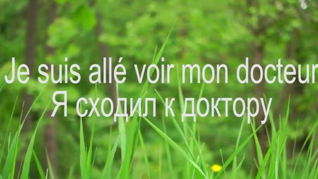 Французский язык с Du Soleil. Урок 98. Некоторые особенности перевода смотреть онлайн