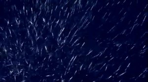 Танго снежной королевы