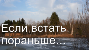 Апрельское утро на даче