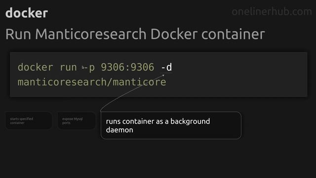 Run Manticoresearch Docker container #docker смотреть онлайн