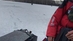 Ice Box SPORT обзор и отзыв пользователя, рыболова спортсмена.