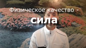 Сила - разбираем физическое качество
