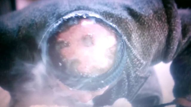 Один дома смешные моменты